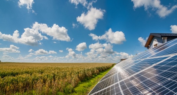 Agrivoltaics – The Process of Pairing Solar with Agriculture